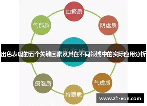 出色表现的五个关键因素及其在不同领域中的实际应用分析