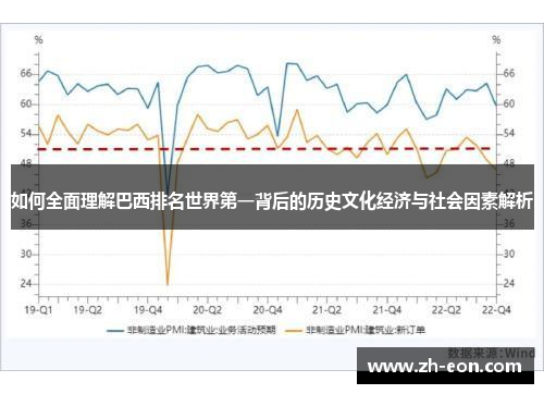 如何全面理解巴西排名世界第一背后的历史文化经济与社会因素解析
