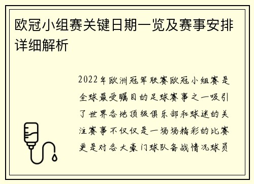欧冠小组赛关键日期一览及赛事安排详细解析